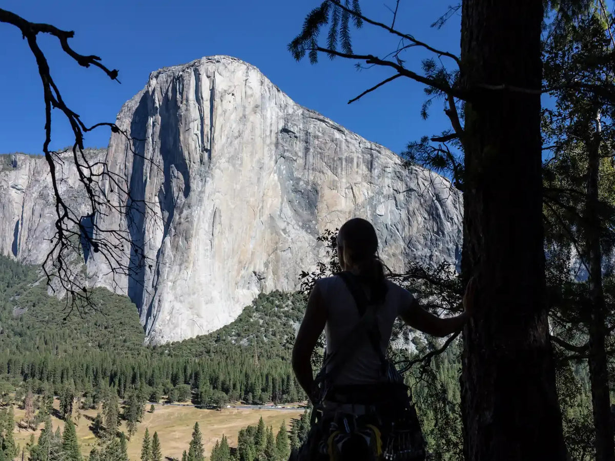 Climber silhouetted among trees looking out at El Capitan in Yosemite Valley